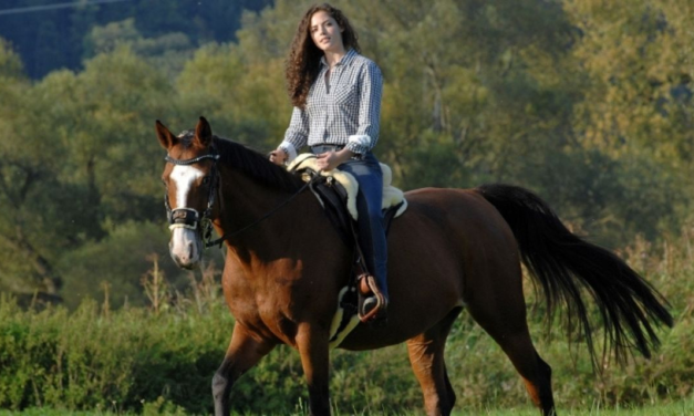 Lammeskindssadel – Kvalitet til dig og din hest